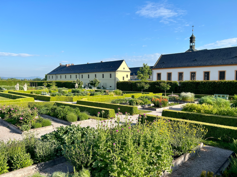 Hospitál Kuks - bylinková zahrada